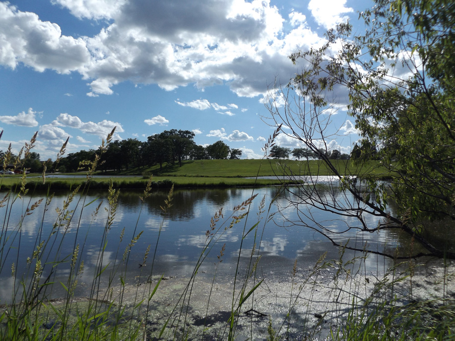 waterfront of a park lake