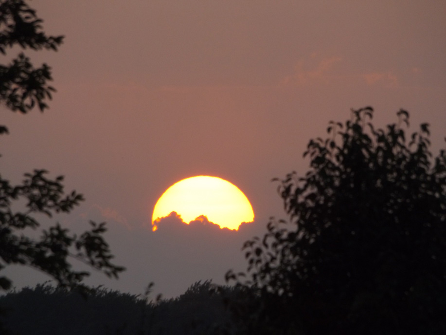 sundown over clouds behind a line of trees